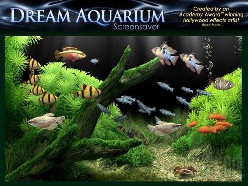 Dream Aquarium,Dream Aquarium下载,Dream Aquarium官方下载