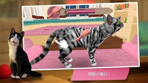 猫咪宾馆游戏下载,猫咪宾馆,猫咪游戏,养成游戏